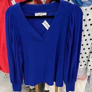 LOFT Cobalt V-Neck Long Sleeve Blouse